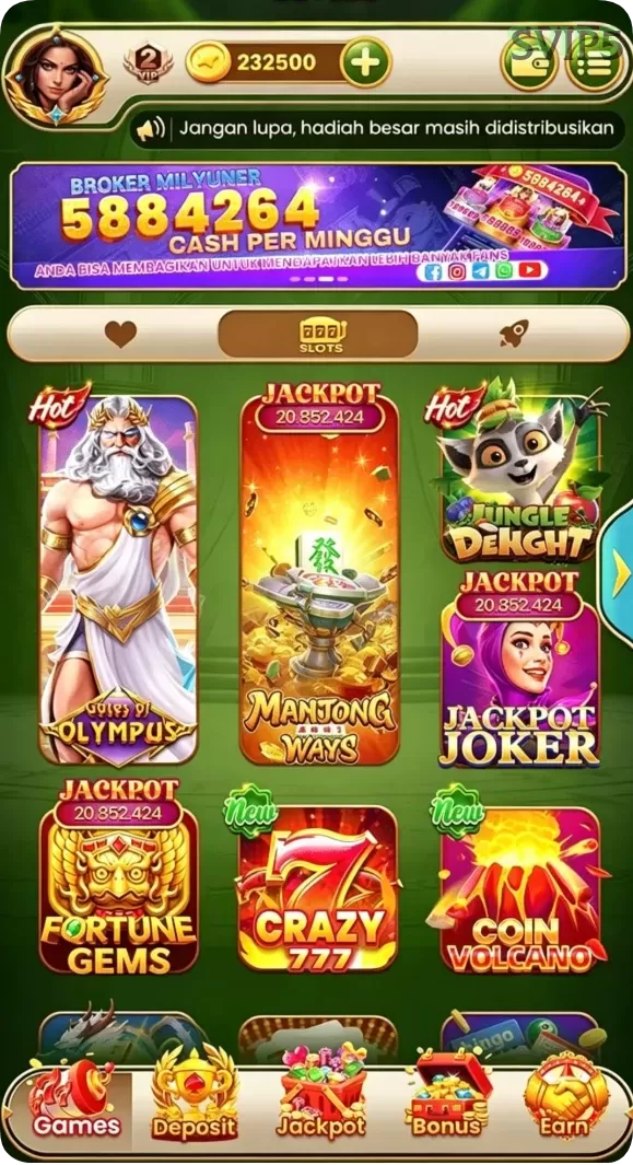 Cuplikan layar ZARA4D — menu navigasi
